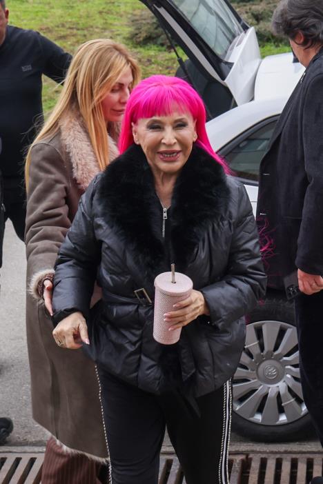 Zorica Brunclik Pinkove zvezde (3).jpeg