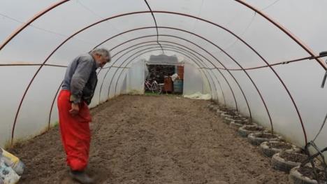 Screenshot 2026-01-26 141601.png