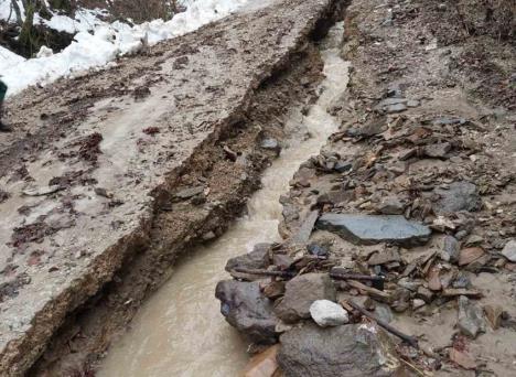 Screenshot 2026-01-28 122538.jpg