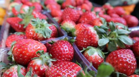 Screenshot 2026-01-28 123307.png