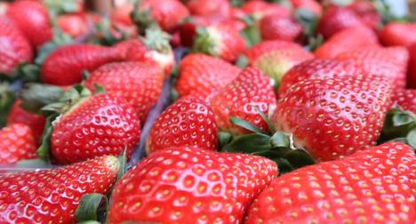 Screenshot 2026-01-28 123331.png