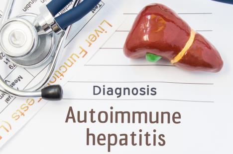 natpis autoimuni hepatitis/maketa jetre