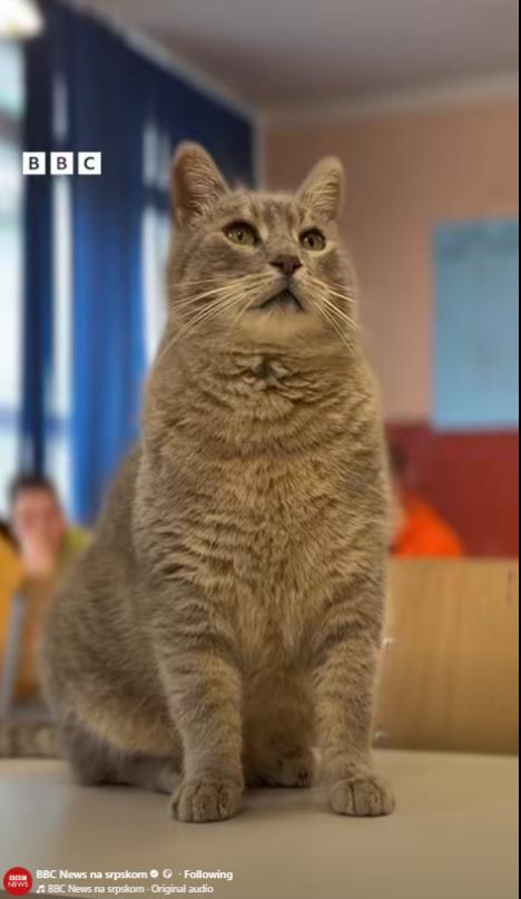 Screenshot 2026-01-29 135041.jpg