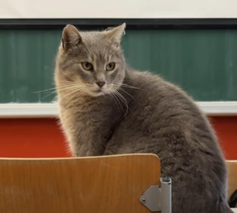 Screenshot 2026-01-29 135326.jpg