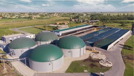 WhatsApp Image 2026-01-29 at 9.13.02 PM.jpeg