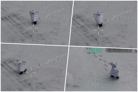 Ruska kamuflaža pingvin