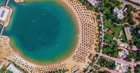 Naslovna Desert Rose.jpg