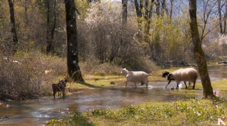 Screenshot 2026-02-01 151146.jpg