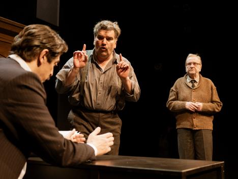 Samci foto Sven Mrkonjić (1).jpg