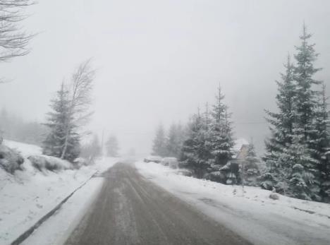 Mitrovac na Tari - sneg.jpg