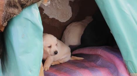 Screenshot 2026-02-02 135541.jpg