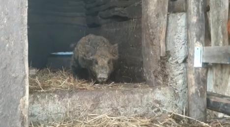 Screenshot 2026-02-02 145947.png