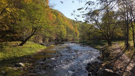 PIO Klisura reke Gradac - Screenshot iz UNDP videa.jpg