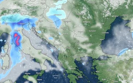 1770032838508-500-830x0 copy.jpg