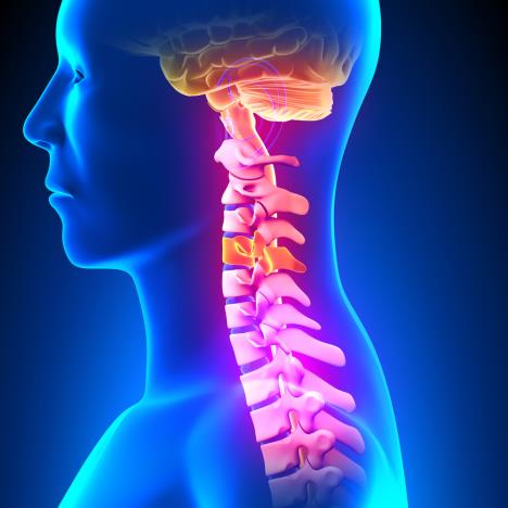 shutterstock_251191258.jpg