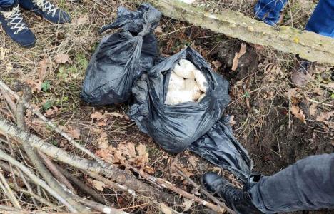 WhatsApp Image 2026-02-03 at 16.02.16 (2).jpeg