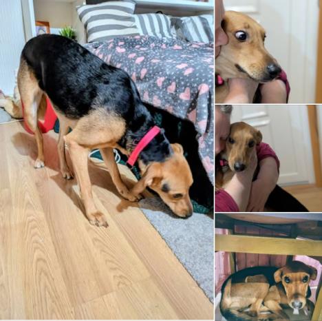 Screenshot 2026-02-04 095053.png