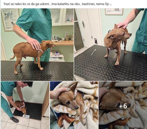 Screenshot 2026-02-04 090843.jpg