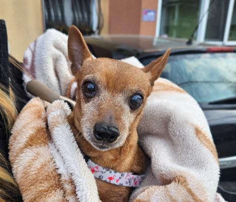 Screenshot 2026-02-04 090921.png