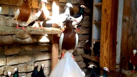 Screenshot 2026-02-04 120222.jpg