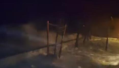 Screenshot 2026-02-05 004151.jpg