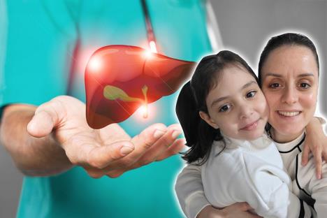 Tamara Selaković i njena ćerka Jovana Tomašević/ruka lekara drži  model jetre