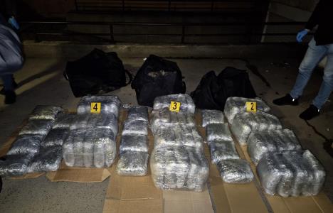 droga, marihuana, Novi Sad