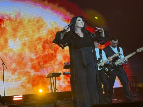 WhatsApp Image 2026-02-06 at 23.17.41.jpeg