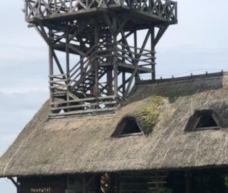 Kula Zasavica (1).jpeg