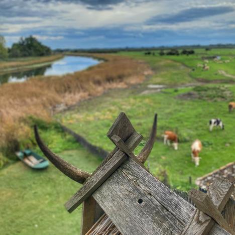 Kula Zasavica (2).jpeg