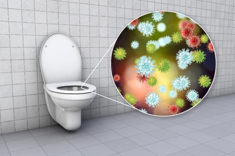 Grafički prikaz wc šolje i mikroskopski detalj sa bakterijama koje se nalaze u šolji