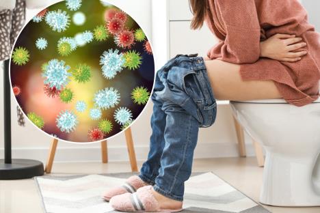 žena sedi na wc šolju svom kupatilu/grafički prikaz bakterija koje na nalaze u wc šolji