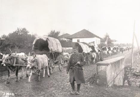 Vojska 3 Topaz Gigapixel 2x scale.jpg
