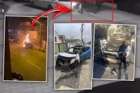 Screenshot 2026-02-08 121945 copy.jpg