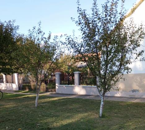 kuća na prodaju vojvodina