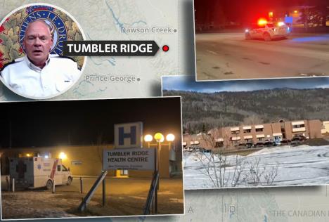 profimedia-1073879658 copy.jpg