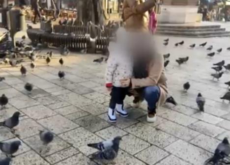 Screenshot 2026-02-11 202115.jpg