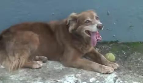 Screenshot 2026-02-13 111545.png