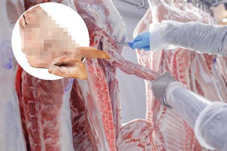 Prasetina svinjska glava.jpg