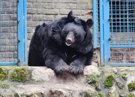 Screenshot 2026-02-15 094133.jpg