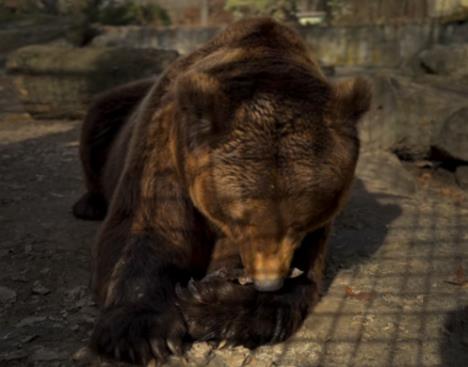 Screenshot 2026-02-15 104439.jpg