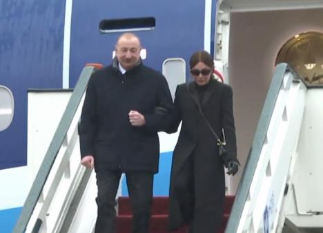 Screenshot 2026-02-15 130419.jpg