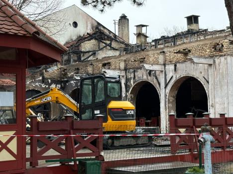 WhatsApp Image 2026-02-15 at 16.38.29 (1).jpeg