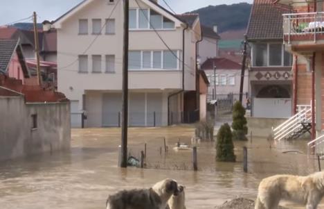 Screenshot 2026-02-16 121726.png