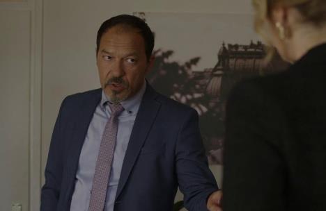 Ranko Zidarić u seriji Kumovi