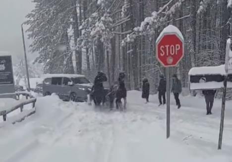 Screenshot 2026-02-17 123736.jpg