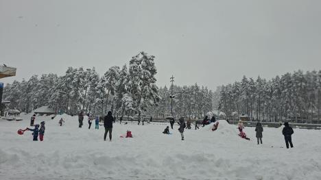 Zlatibor sneg (13).jpeg