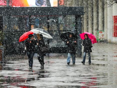 sneg u Beogradu  (28).jpeg