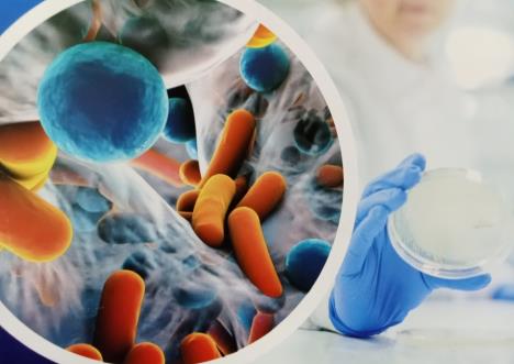 radnik u laboratoriji drži staklenu porudicu za analizu/u krupnom planu mikroskopski uvećan uzorak sa bakterijama