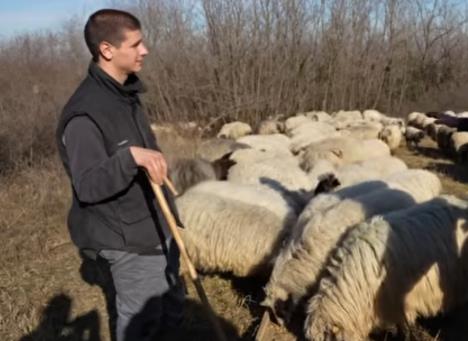 Milos Škorić pastir ovce (2).png